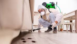 Best Emergency Pest Control  in Port Jervis, NY